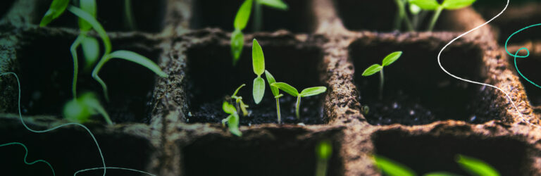 QA Automation & Ongoing Support for Legal Software